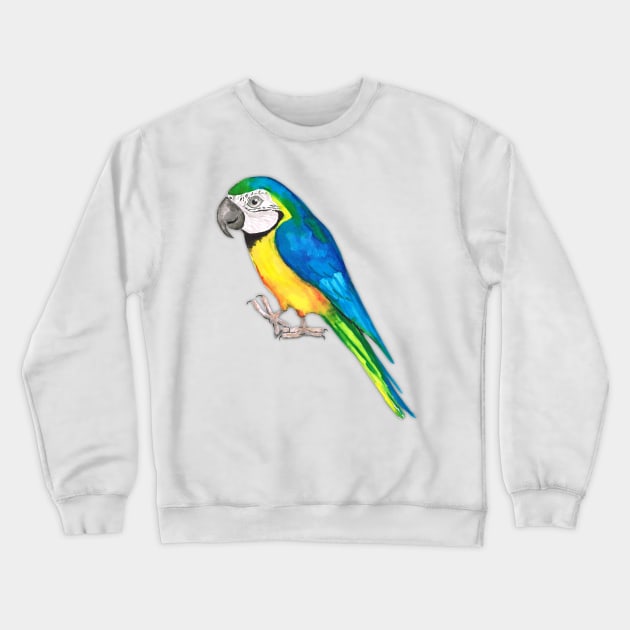 Blue and yellow macaw Crewneck Sweatshirt by Bwiselizzy